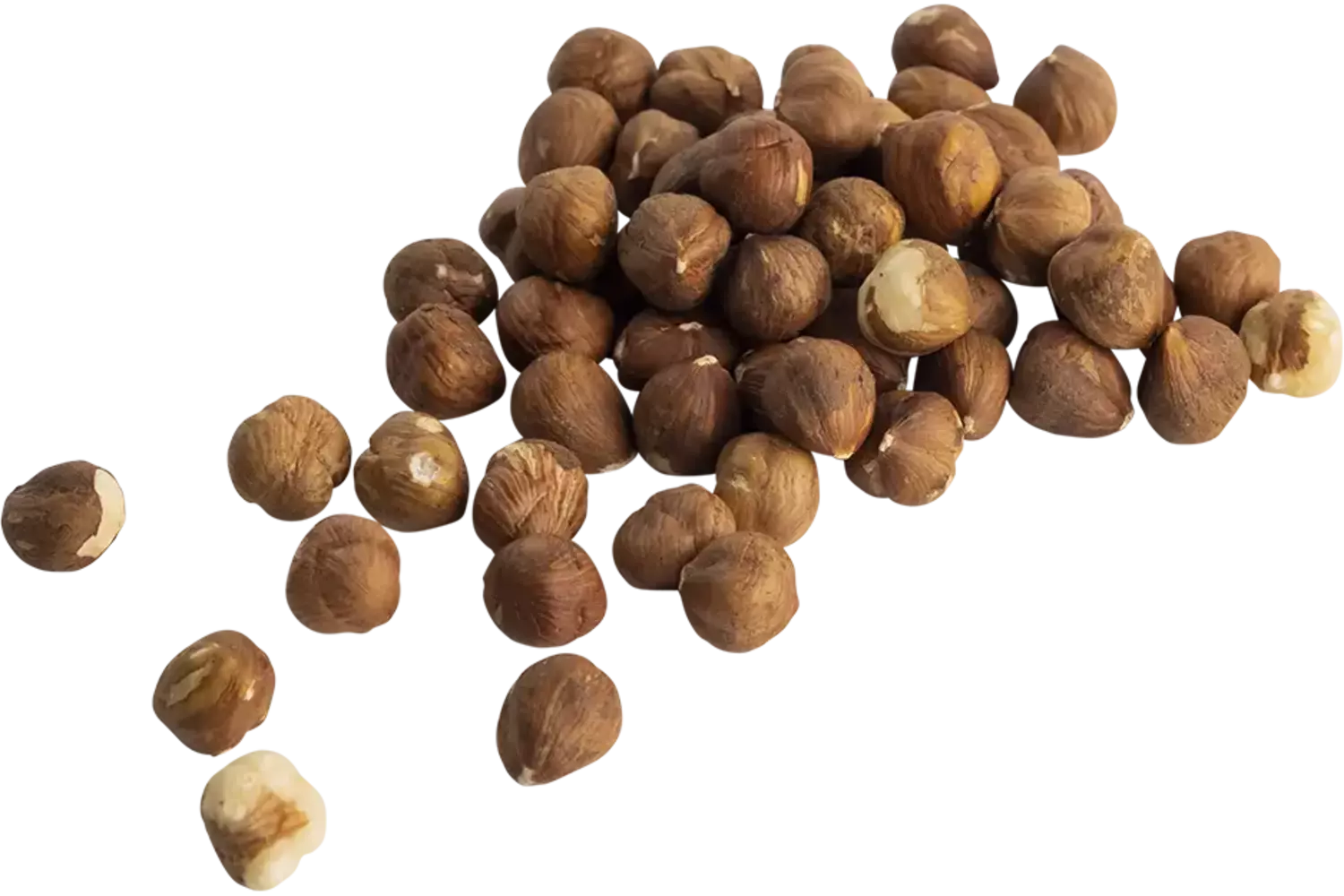 Hazelnoten bruin raw 1kg stuk 1